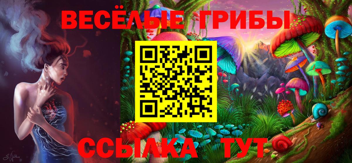где можно купить наркотик  Псилоцибиновые грибы мухоморы  Вход с VPN  Семилуки 